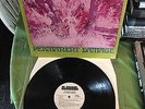 GTO'S - Permanent Damage (Rare White Label Promo Straight LP - Zappa,Mothers)