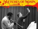 Miles Davis-Sketches Of Spain  (US IMPORT)  Vinyl / 12