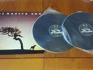 U2 - NATIVE SON DOPPIO VINILE VG+