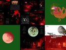 Space Debris : Elephant Moon ( Vinyl 3 Lp's)