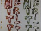 Nitty Gritty - S/T LP - Witty VG+