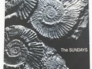THE SUNDAYS - READING, WRITING & ARITHMATIC LP Oz Pressing Rough Trade/Festival