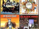 12 Langspielplatten Vinyl De Bläck Fööss 1x blaue Platte 