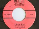 RARE Rockabilly 45 CHAPARRALS “Poor Gal” on REBEL (Tenn.) orig ’58 nice  HEAR
