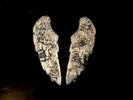 Coldplay, Ghost Stories, Lp   33rpm