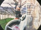 T.E.W. - Vis Medicatrix Naturae (Habitat HBT 003) Techno Acid 12