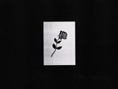 Shlohmo - Dark Red Vinyl 2LP + Digital NEU 0952985