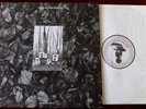 FLUX OF PINK INDIANS STRIVE TO SURVIVE LP SPIDERLEG (1982) VG+ A1 B1 UK SDL 8