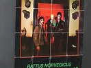 The Stranglers ; RATTUS 1st Album UA  Punk  Promo  Poster-1977