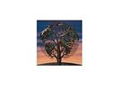 TALK TALK-LAUGHING STOCK  (UK IMPORT)  VINYL LP NEW