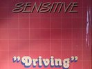 SENSITIVE - Driving (remastered) - Vinyl (12