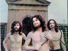 Le Orme-Collage Italian prog lp reissue brand new