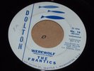 GARAGE SURF 45 - THE FRANTICS - WEREWOLF - DOLTON
