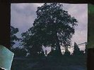 J. Cole - 4 Your Eyez Only NEW LP