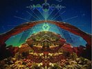 Chris Robinson Brotherhood - Big Moon Ritual 2 x LP Vinyl - Black Crowes CRB