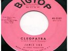 JAMIE COE 