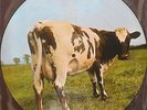 PINK FLOYD ATOM HEART MOTHER LP Picture Disc NMint