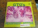 GTOS Girls Together Outrageously Permanent Damage LP STRAIGHT promo orig VG++