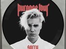 JUSTIN BIEBER - Sorry LIVE PHOTO VINYL SINGLE Picture Disc PURPOSE TOUR