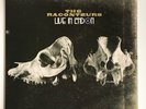 The Raconteurs 