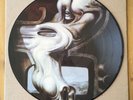 ATROCITY - HALLUCINATIONS VINYL LP PICTURE DISC