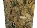 DAVE MASON   ALONE TOGETHER   1970 MARBLE VINYL LP   TRI-CUT COVER   GORGEOUS