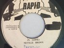 NEVILLE BROWN - PARADISE - RAPID ( VERY RARE ROOTS 7 )