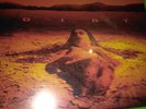 Dirt [LP] by Alice in Chains (Vinyl, Feb-2010)