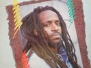 ROOTS LP / LITTLE ROY / PROPHESY / TAFARI