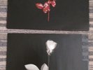 ** DEPECHE MODE - VIOLATOR - STUMM 64 - FIRST PRESS **