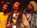 Israel Vibration ?– Forever (Vinyl 1991) Real Authentic Sound ?– RAS 3080 Rar