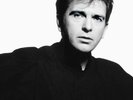 Peter Gabriel 