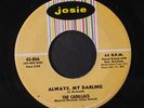 CADILLACS: Always My Darling / Romeo 45 Vocal Groups