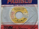 ROLLING STONES • Angie / Silver Train• RARE 45 • PANAMA PRESS 1973 •
