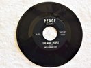 Funk-Rock 45  --  New Hudson Exit  --  Peace 222 Label