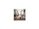 Oasis - (Whats the Story) Morning Glory [New Vinyl] Rmst