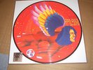 DAVID BOWIE THE MAN WHO SOLD THE WORLD LP RSD PICTURE DISC VINYL RECORD