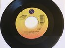 RAMONES / Sheena Is A Punk Rocker & Pet Sematary / Mint 45 Unplayed