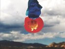 Feels Like [LP] by Bully.