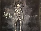 GOJIRA / THE WAY OF ALL FLESH - LIMITED EDITION - BLUE & WHITE VINYL - NM - RARE