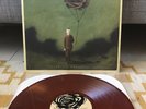 Hidden In Plain View - Life In Dreaming Vinyl LP /500 OOP Bronze