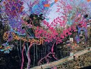 Animal Collective ?– Here Comes The Indian Vinyl LP Reissue