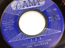 The Haunted 1-2-5/EIGHT O'CLOCK THIS MORNING_Amy 959_Orig 45_1966 U.S._styrene