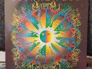 Jethro Tull - Roots To Branches - Gatefold LP - 1995 Chrysalis Records