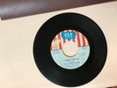 ROCK 45 RPM RECORD - THE CHERRY SLUSH - USA 896