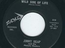 TX Rocker Jimmy Heap FAME 510 Go get em / Wild side of life ?