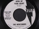 NEWCOMERS: Open Up Your Heart / Girl, This Boy Loves You 45 (dj, close to M-, m