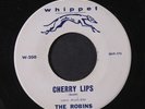 ROBINS: Cherry Lips / Out Of The Picture 45 Vocal Groups