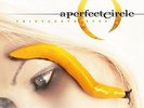 A PERFECT CIRCLE THIRTEENTH STEP LP VINYL NEW