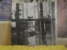 PAUL MCCARTNEY, CHAOS AND CREATION IN THE BACKYARD LP 00946 337958 1 5 BEATLES